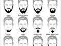 A man's guide to beards