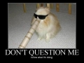 Dont Question Me