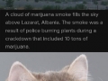 Potheads be like