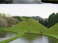 Cosmic Speculation Garden