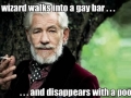 A gay wizard