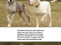 Best Friends