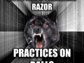 Insanity wolf