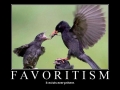 Favoritism