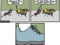 Ant Vs Bee
