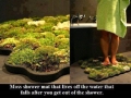 Good way to feel nature