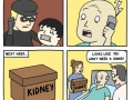 Kidney!