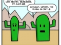 Gary the cactus