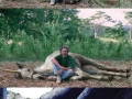 Rise and fall of Spielberg