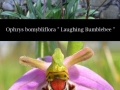 Mother nature is beautiful