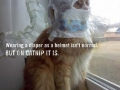 Nip. Not even once