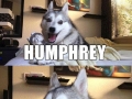 Pun dog