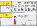 Cats and dogs