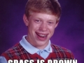 Bad Luck Brian