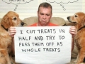 The shame