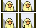 A bird holds its breath