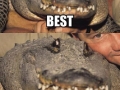 Omg Steve Irwin!