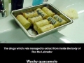 Failed drug smuggling