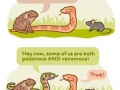 Oh sh*t a talking snake!