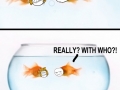 Girlfriend logic