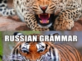 Different grammars
