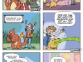 Owning a Pokemon