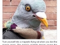 Pigeon mask