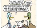 A visit to the vet