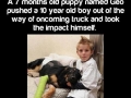 Real life super dog!