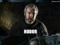 Oh Hodor...