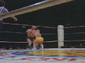 Dwarf  wrestle