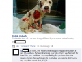 Animal Cruelty Fail