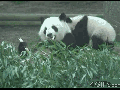 Don't f**k with me bro