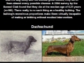 Selective breeding