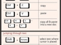 Become a keyboard ninja
