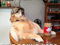 Redneck retriever family