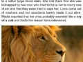 Animals are awesome