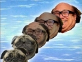 Danny Devito