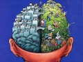 Things that affect the brain