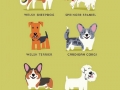 Dogs of the world