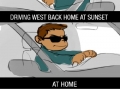 Driving problems