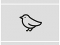 Easy to draw animals
