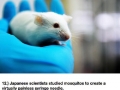 Science facts