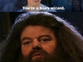 You're a wizard Harry