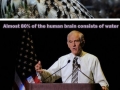 Get your fact fix