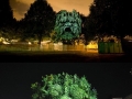 3D projections on trees