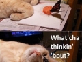 Hey, butterfly..