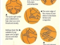 Your key pressure points