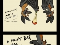 Fruit Bats