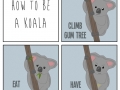 How to be a koala